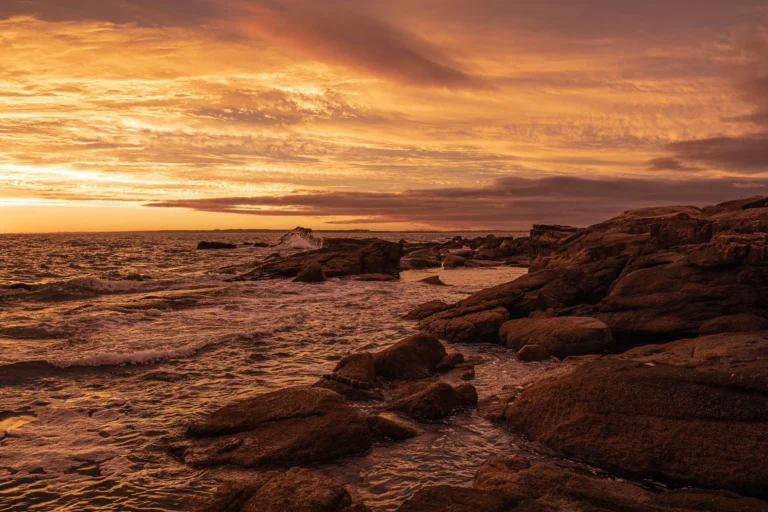 Cuál Es La Mejor Época Para Visitar El Mirador La Vista En Punta Del Este 8 Cuál Es La Mejor Época Para Visitar El Mirador La Vista En Punta Del Este