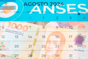 calendario de pagos anses argentina 2024