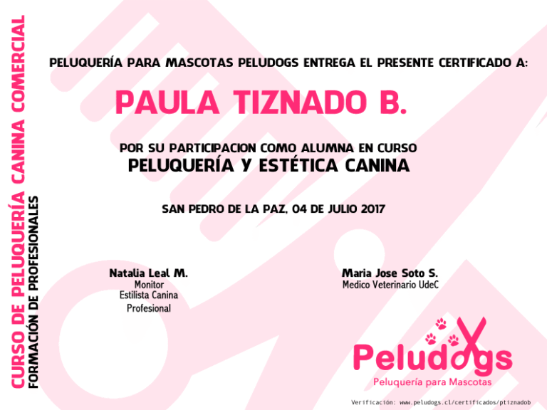 curso peluqueria canina certificado en academia