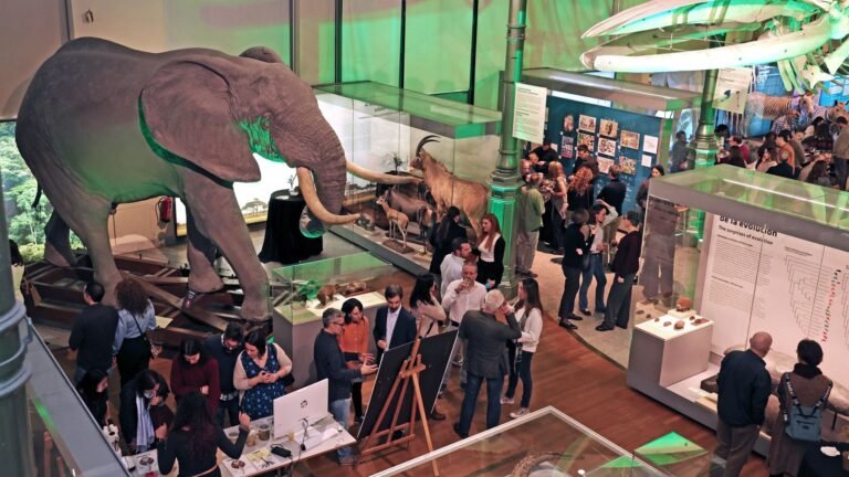 exposicion interactiva en museo de ciencias naturales