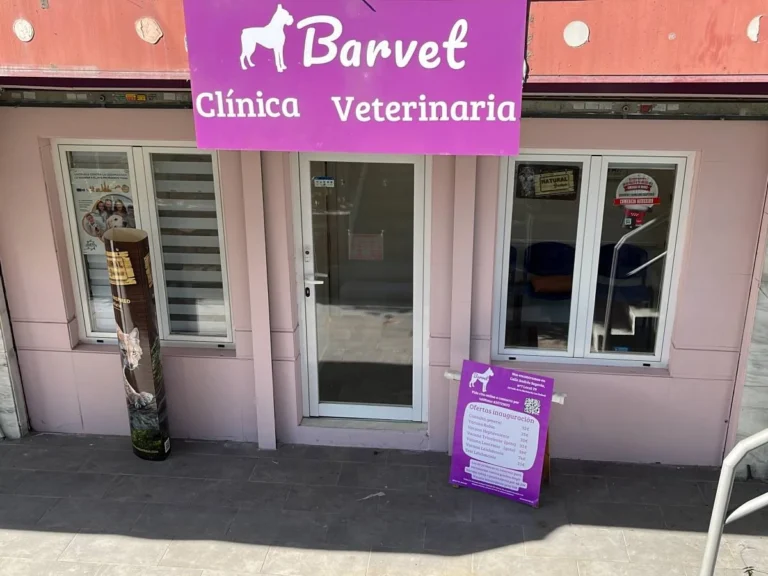 Dónde Está La Veterinaria Las Marías En Florencio Varela