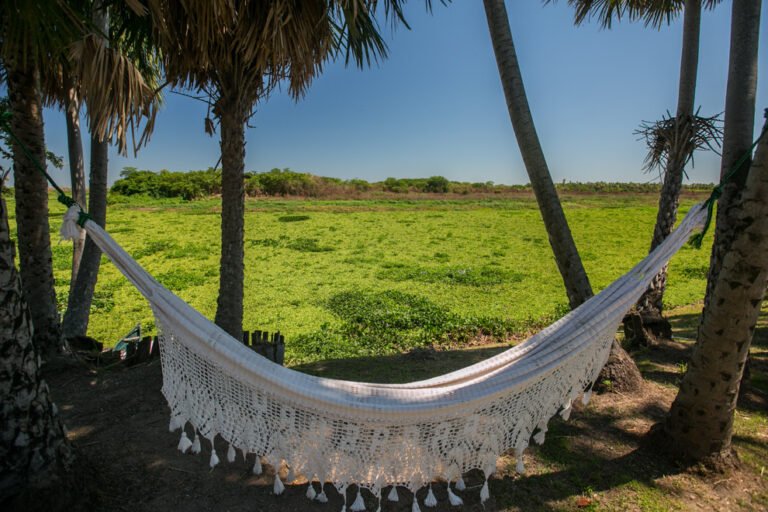 Necesito un Abogado para Divorciarme en Argentina Cuándo y Por Qué 6 matrimonio dividido con balanza legal argentina