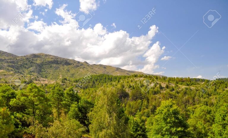 paisaje de villa general belgrano montanas bosque