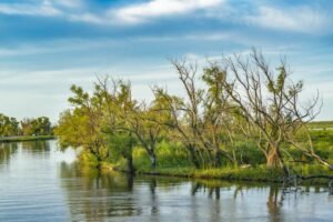 paisaje y rio parana en san nicolas