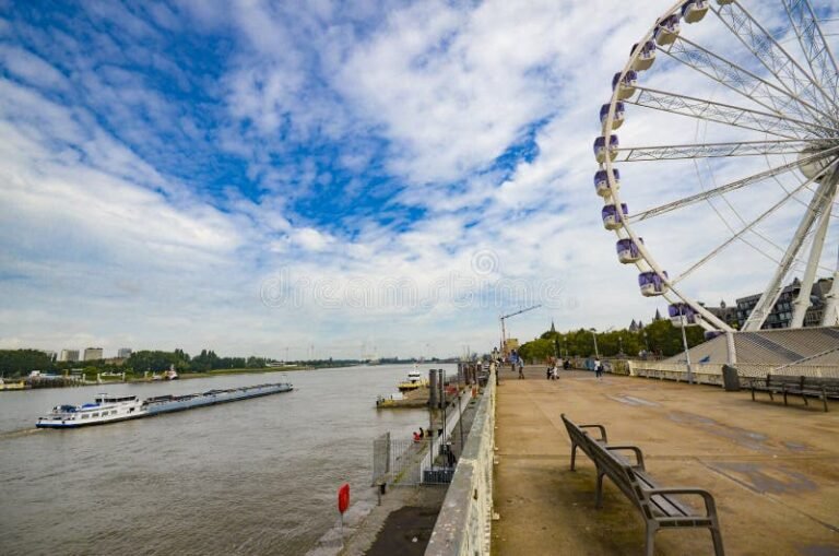 Qué Hacer en Vicente López Lugares y Actividades Imprescindibles 5 Qué Hacer en Vicente López Lugares y Actividades Imprescindibles