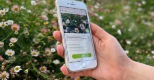persona usando aplicacion movil identificando planta