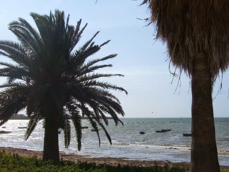 Cuáles son las mejores actividades para hacer en Bahía Punta Chica San Fernando 3 Cuáles son las mejores actividades para hacer en Bahía Punta Chica San Fernando